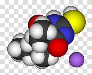 Circle, Computer, Sphere transparent background PNG clipart thumbnail