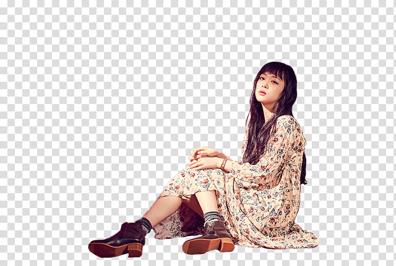 Sulli P transparent background PNG clipart