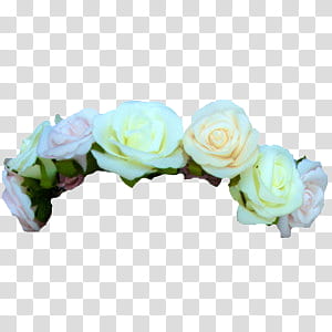 Flower Crowns, white roses decor transparent background PNG clipart