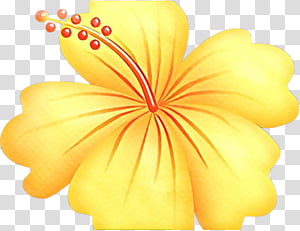petal yellow flower hibiscus plant,  Cartoon, Hawaiian Hibiscus, Flowering Plant, Herbaceous Plant transparent background PNG clipart thumbnail