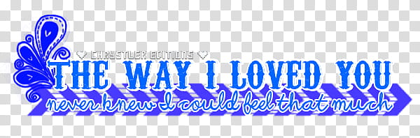 The Way I Loved You Lyrics Text transparent background PNG clipart