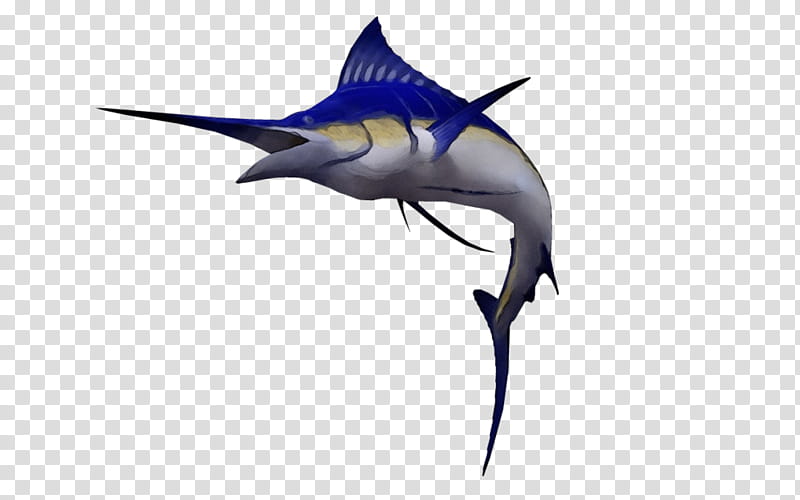 Shark, Watercolor, Paint, Wet Ink, Swordfish, Sailfish, Marlin, Atlantic Blue Marlin transparent background PNG clipart