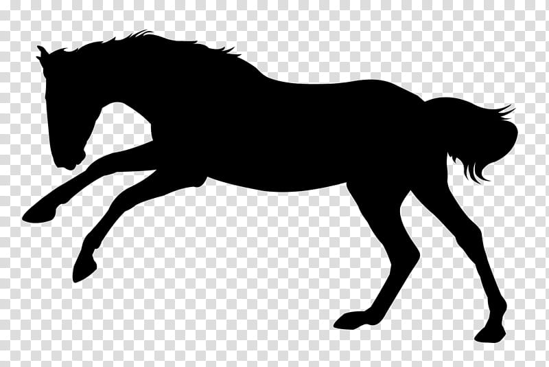 Hair, Horse, Stallion, Silhouette, Jumping, Mare, Canter And Gallop, Draft Horse transparent background PNG clipart