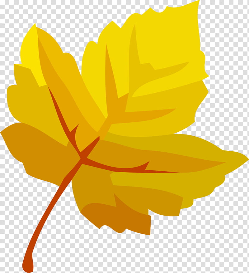 autumn leaf fall leaf yellow leaf, Flower, English Marigold, Plant, Petal, Tagetes, Tree transparent background PNG clipart