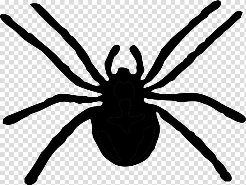 Black Widow, Spider, Document, Silhouette, Tarantula, Insect, Widow Spider, Arachnid transparent background PNG clipart