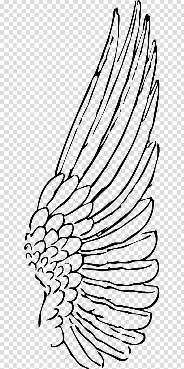 Bird Line Drawing, Tattoo , Feather, Silhouette, White, Line Art, Coloring Book, Plant transparent background PNG clipart