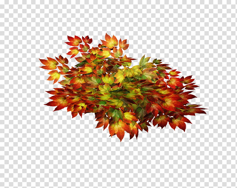 D Poison Ivy, Red and Yellow Leaves transparent background PNG clipart