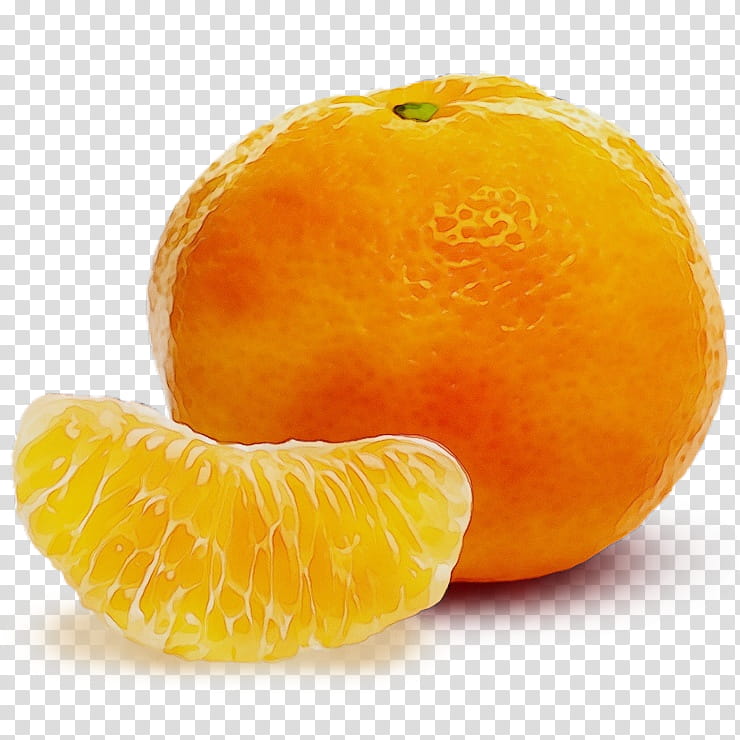 citrus fruit mandarin orange tangerine natural foods, Watercolor, Paint, Wet Ink, Clementine, Tangelo, Peel, Rangpur transparent background PNG clipart