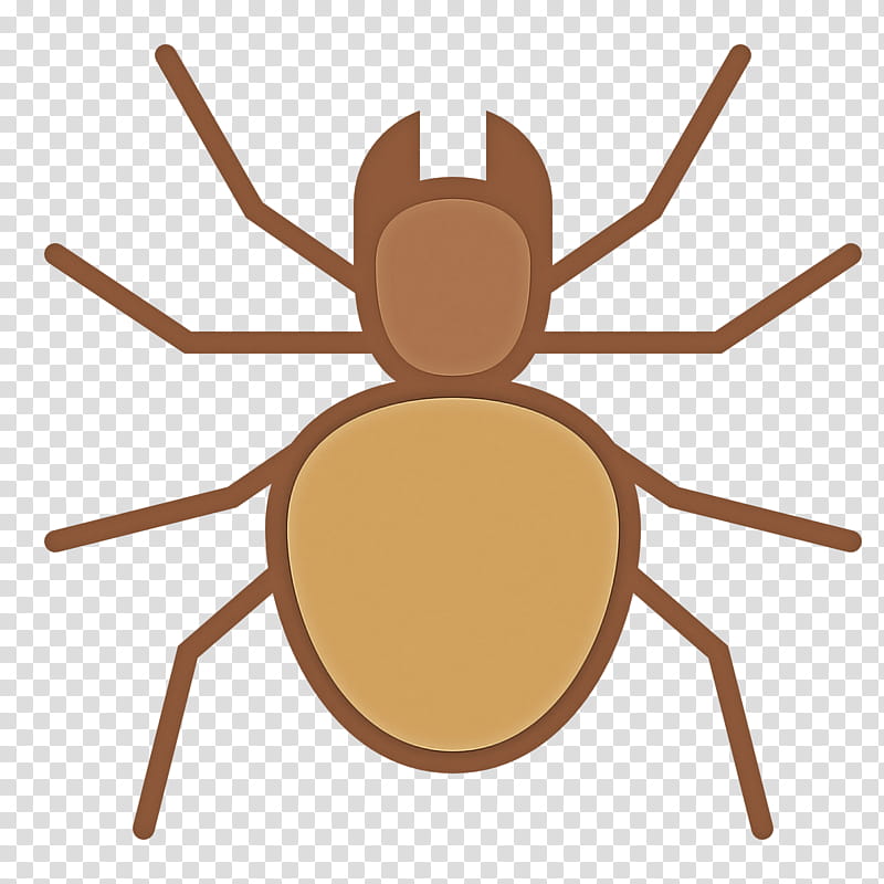 insect pest spider tarantula arachnid, Parasite transparent background PNG clipart