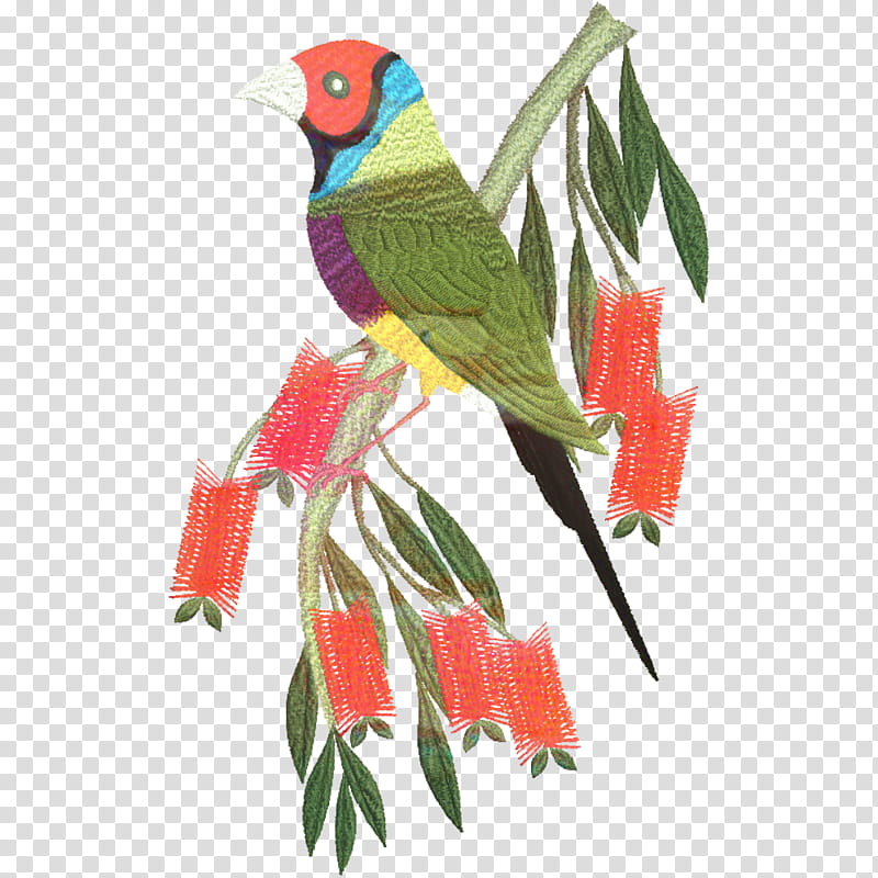 Bird Parrot, Embroidery, Machine Embroidery, Budgerigar, Superb Parrot, Needlework, Machine Quilting, Loriini transparent background PNG clipart