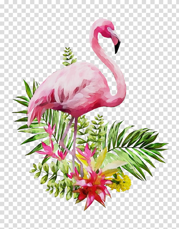Valentines Day, Canvas, Flamingo, Painting, Greater Flamingo, Tshirt, Greeting Note Cards, Poster transparent background PNG clipart