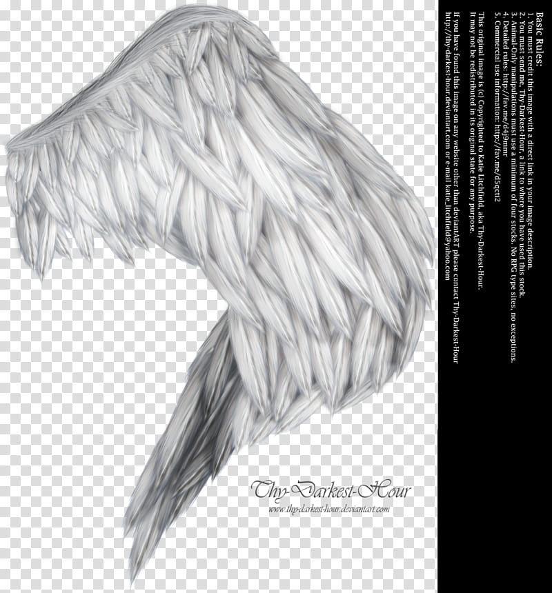 Wings of Fancy Silver, white feather wing transparent background PNG clipart