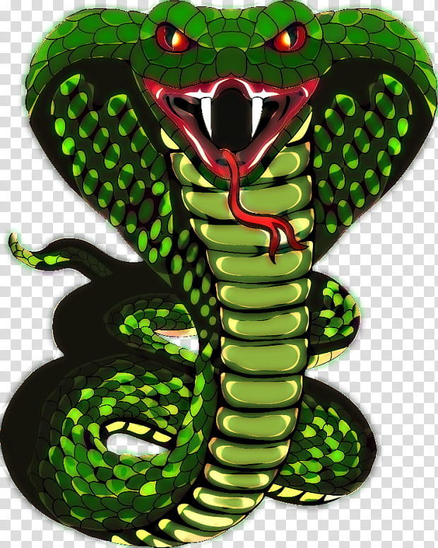 Snake, Snakes, Reptile, Vipers, King Cobra, Rattlesnake, Snake Scale, Drawing transparent background PNG clipart