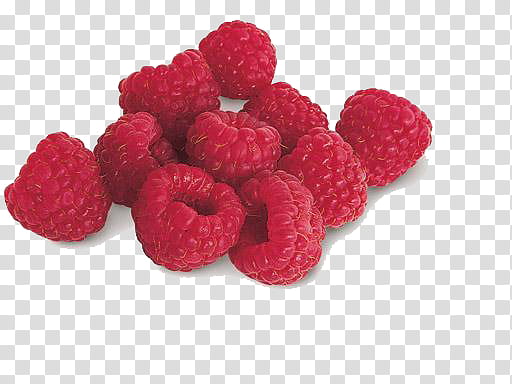 frutos rojos transparent background PNG clipart