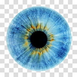 Iris , person's eye iris and eye pupil transparent background PNG clipart