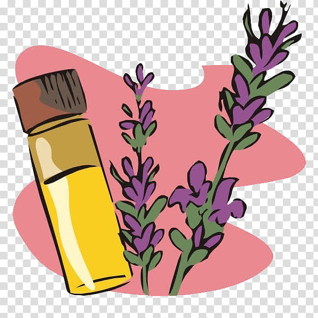 Lavender Flower, Electronic Circuit Simulation, Definition, Essential Oil, Dictionary, Plant, Wildflower transparent background PNG clipart