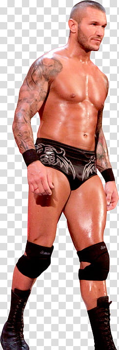 Randy Orton Alberto del rio and Maryse transparent background PNG clipart