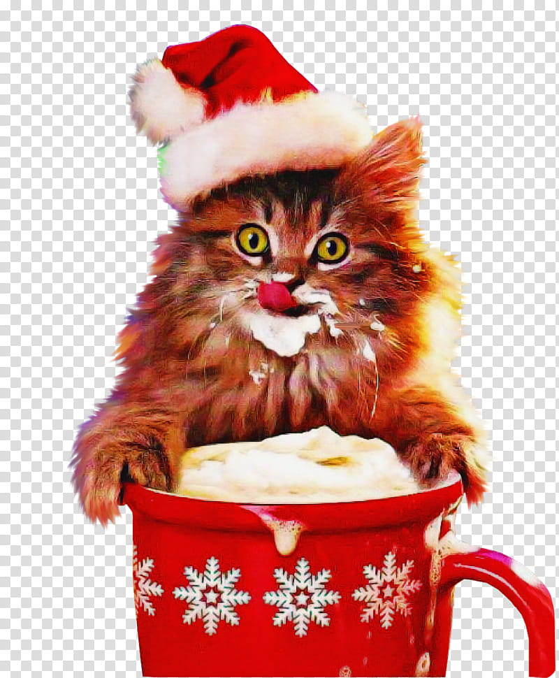 cat small to medium-sized cats event kitten drinkware, Small To Mediumsized Cats, Cup, Christmas transparent background PNG clipart