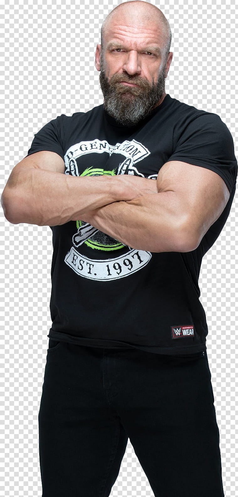 Triple H Render  transparent background PNG clipart