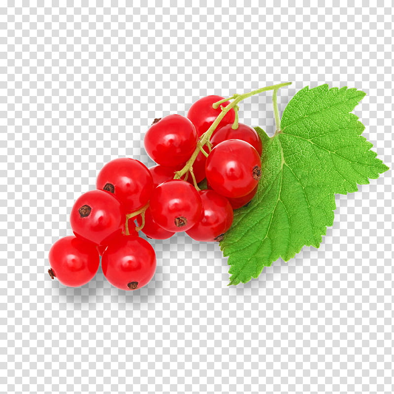 berry currant plant fruit leaf, Lingonberry, Food, Zante Currant, Cranberry, Flower transparent background PNG clipart