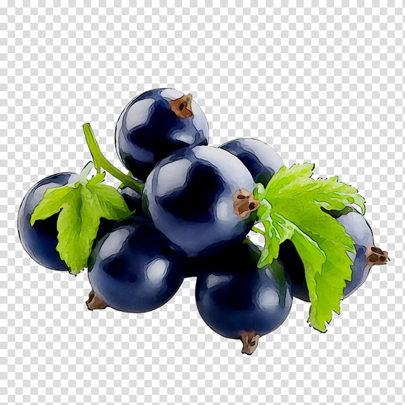 Blue Flower, Blackcurrant, Bilberry, Blueberry, Food, Stxea Nr Eur, Huckleberry, Lemonade transparent background PNG clipart