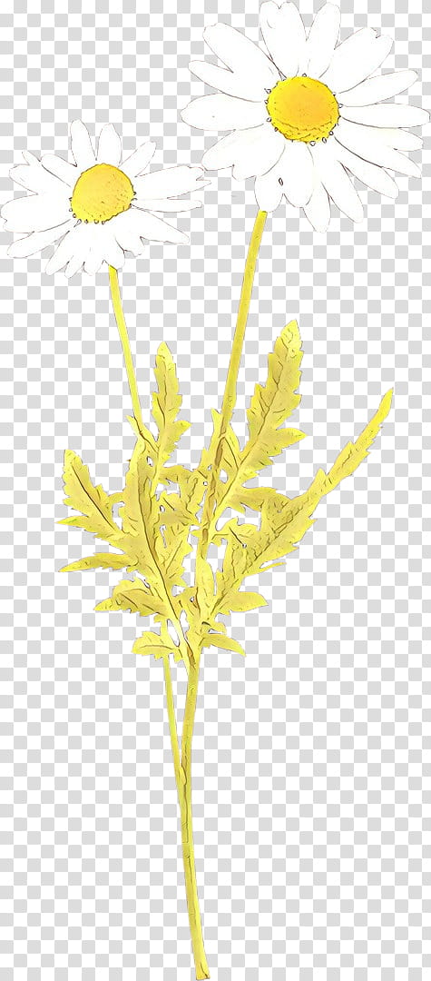 yellow plant flower pedicel plant stem, Goldenrod transparent background PNG clipart