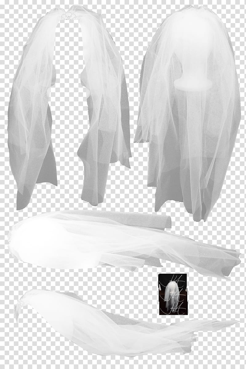 Bridal Veil , white veil collage transparent background PNG clipart