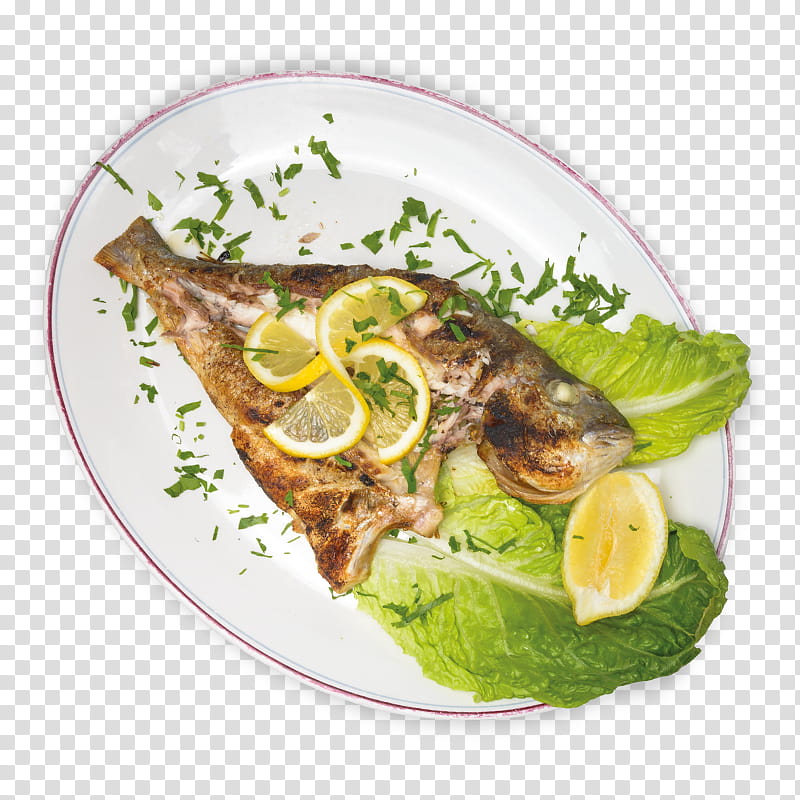 Seafood, Fish, Vegetarian Cuisine, Dish, Meat, Garnish, Salad, Babinondas transparent background PNG clipart