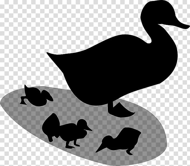 Bird Silhouette, Duck, Goose, Beak, Water Bird, Ducks Geese And Swans, Waterfowl, American Black Duck transparent background PNG clipart