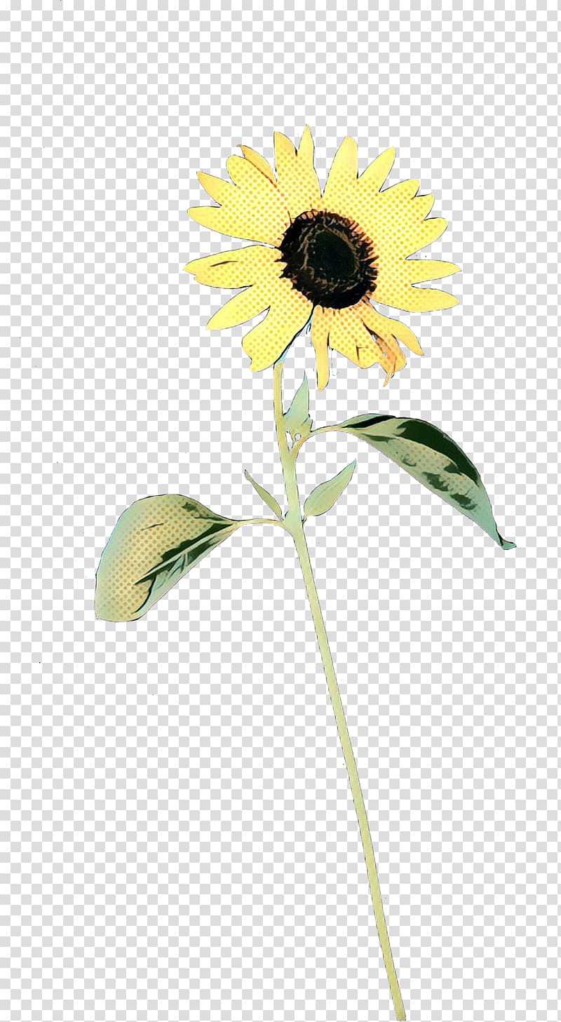 Flowers, Common Sunflower, Cut Flowers, Plant Stem, Sunflower Seed, Petal, Plants, Yellow transparent background PNG clipart