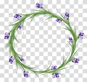 Watercolor Wreath, Garland, Flower, Floral Design, Flower Designs, Watercolor Flowers, Floristry, Cut Flowers transparent background PNG clipart thumbnail