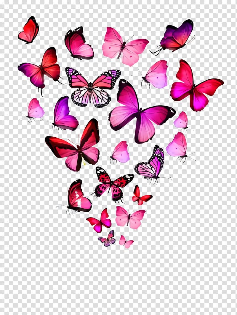 pink butterfly heart petal moths and butterflies, Plant, Magenta, Pollinator, Herbaceous Plant transparent background PNG clipart