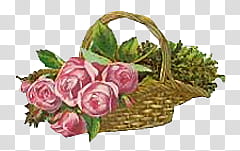 Dont Forget Love s, pink roses on brown basket illustration transparent background PNG clipart