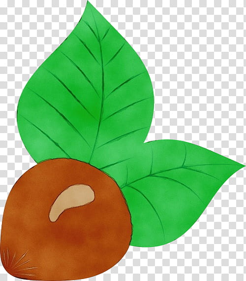 Hazelnut Acorn Lollipop Walnut Green, Watercolor, Paint, Wet Ink, Leaf, Snack, Sugar, Plant transparent background PNG clipart