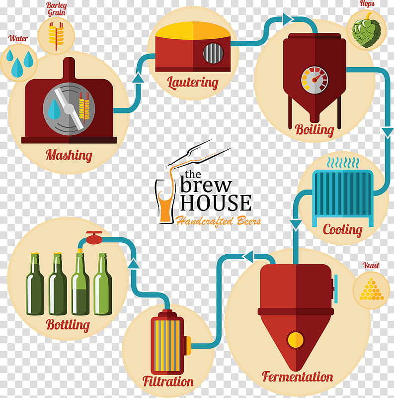Festival, Beer, Ale, Brewing, Lager, Brewery, Infographic, Craft Beer transparent background PNG clipart