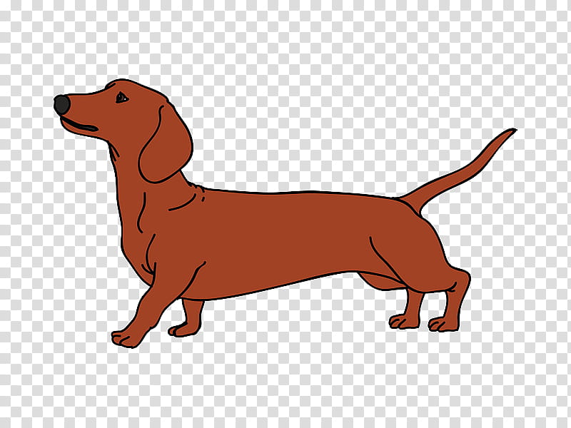 Dog Silhouette, Dachshund, Puppy, Pet, Breed, Terrier, Hound, Dog Type transparent background PNG clipart