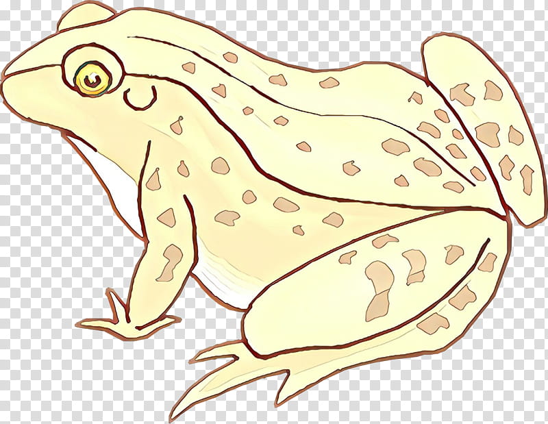 hyla tree frog wood frog true frog anaxyrus, Leaf, Chorus Frog transparent background PNG clipart
