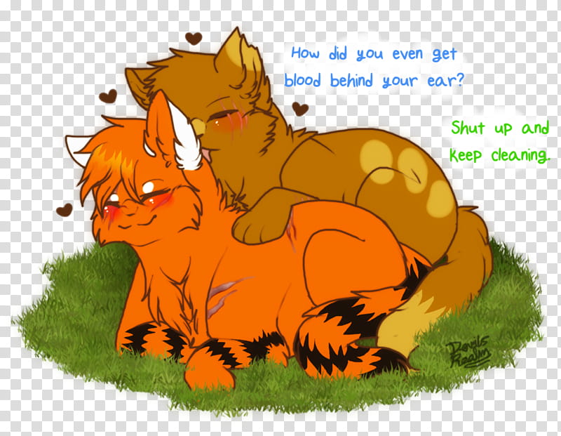 Cat And Dog, RED Fox, Lion, Horse, Character, Orange Sa, Wildlife, Tail transparent background PNG clipart