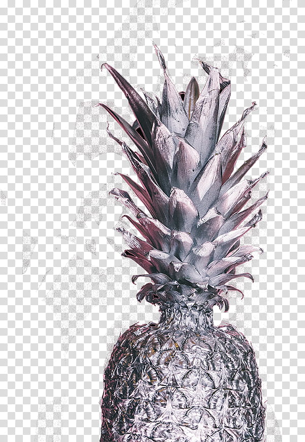 , pineapple transparent background PNG clipart