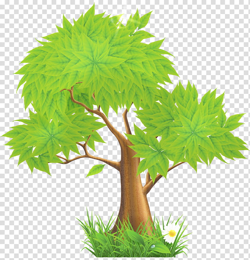 Green Grass, Tree, Tree Planting, Document, Silhouette, Cartoon, Web Design, Flowerpot transparent background PNG clipart