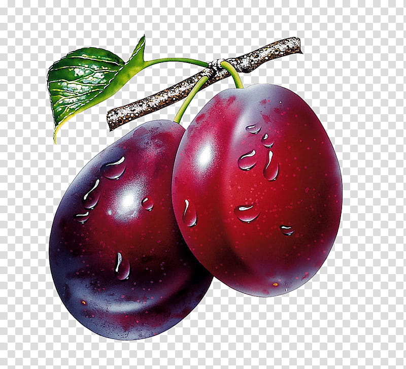 Fruits, two red round fruits hanging on branch transparent background PNG clipart
