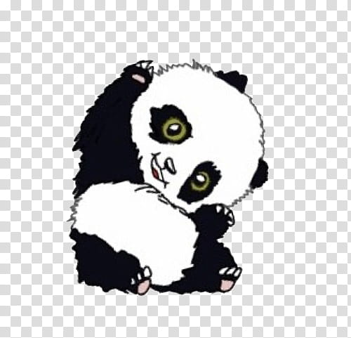 GIRLY OVERLAYS  S, panda transparent background PNG clipart