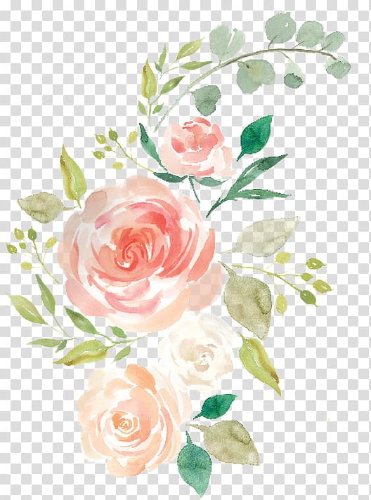Bouquet Of Flowers Drawing, Watercolor Painting, Watercolour Flowers, Floral Design, Rose, Flower Bouquet, Garden Roses, White transparent background PNG clipart
