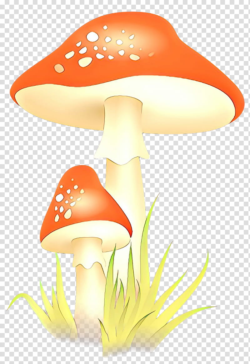 Mushroom, Orange, Lamp, Plant, Agaricomycetes, Agaricaceae transparent background PNG clipart