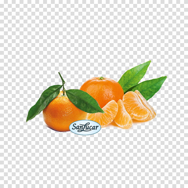 Ice Cream, Mandarin Orange, Fruit, Sorbet, Flavor, Murcott, Ingredient, Bahia Orange transparent background PNG clipart