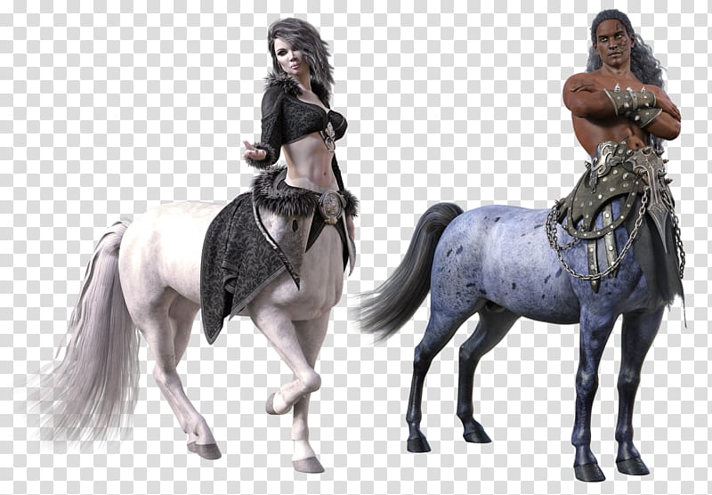 Man, Centaur, Hybrid Beasts In Folklore, Centaurides, Chiron, Female, Lapiths, Greek Mythology transparent background PNG clipart
