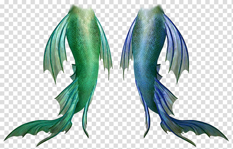 Mermaid Tails , two fishes illustration transparent background PNG clipart