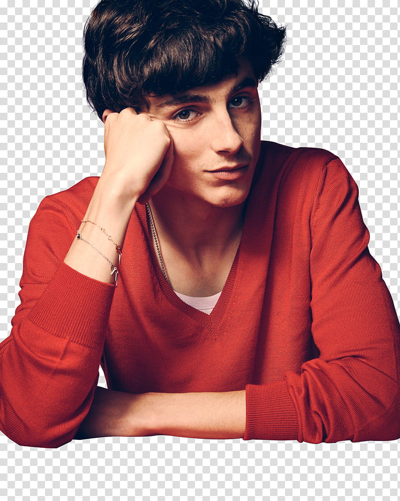 PACK  . TIMOTHEE CHALAMET,  icon transparent background PNG clipart