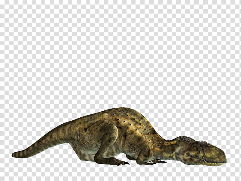 Dinosaurs Set , green T-Rex lying on floor transparent background PNG clipart