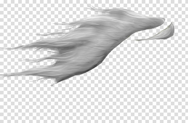 Horse Mane , gray smoke transparent background PNG clipart